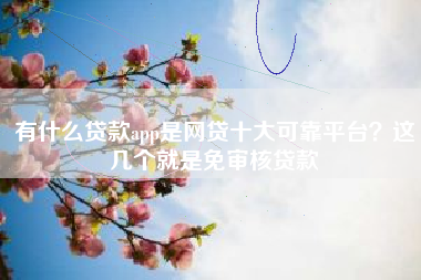 有什么贷款app是网贷十大可靠平台？这几个就是免审核贷款