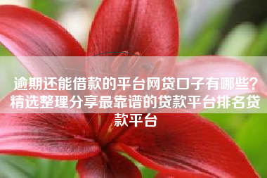 逾期还能借款的平台网贷口子有哪些？精选整理分享最靠谱的贷款平台排名贷款平台