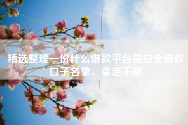 精选整理一份什么借款平台最安全借款口子名单，拿走不谢