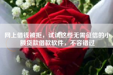 网上借钱被拒，试试这些无需征信的小额贷款借款软件，不容错过