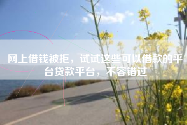 网上借钱被拒，试试这些可以借款的平台贷款平台，不容错过