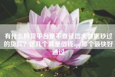 有什么网贷平台是不查征信大数据秒过的贷款？这几个就是借钱app那个最快好通过