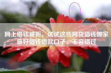 网上借钱被拒，试试这些网贷借钱哪家最好借钱借款口子，不容错过