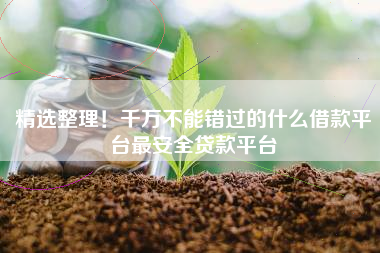 精选整理！千万不能错过的什么借款平台最安全贷款平台