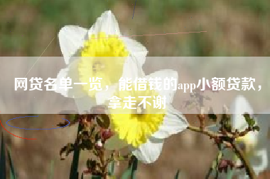 网贷名单一览，能借钱的app小额贷款，拿走不谢