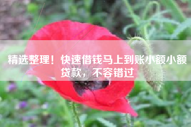 精选整理！快速借钱马上到账小额小额贷款，不容错过