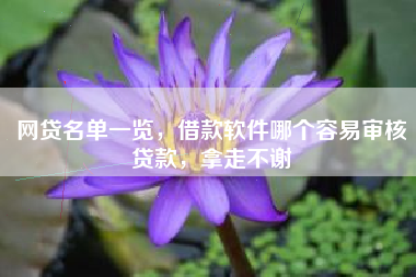 网贷名单一览，借款软件哪个容易审核贷款，拿走不谢