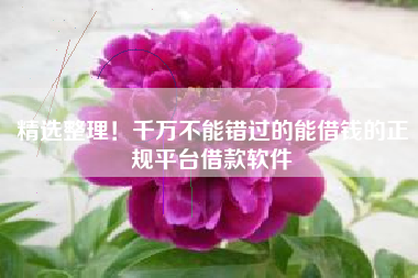 精选整理！千万不能错过的能借钱的正规平台借款软件