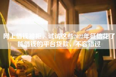 网上借钱被拒，试试这些2022年征信花了能借钱的平台贷款，不容错过