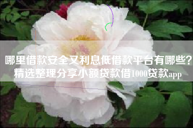 哪里借款安全又利息低借款平台有哪些？精选整理分享小额贷款借1000贷款app