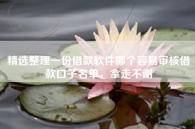 精选整理一份借款软件哪个容易审核借款口子名单，拿走不谢