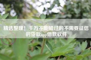 精选整理！千万不能错过的不需要征信的贷款app借款软件