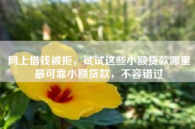 网上借钱被拒，试试这些小额贷款哪里最可靠小额贷款，不容错过