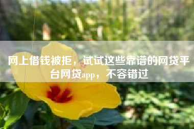 网上借钱被拒，试试这些靠谱的网贷平台网贷app，不容错过