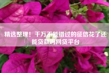 精选整理！千万不能错过的征信花了还能贷款吗网贷平台