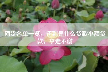 网贷名单一览，还到是什么贷款小额贷款，拿走不谢