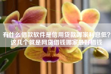 有什么借款软件是信用贷款哪家利息低？这几个就是网贷借钱哪家最好借钱