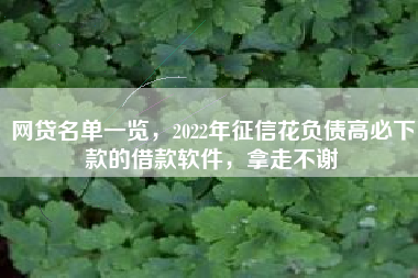 网贷名单一览，2022年征信花负债高必下款的借款软件，拿走不谢