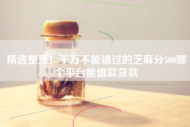 精选整理！千万不能错过的芝麻分500哪个平台能借款贷款