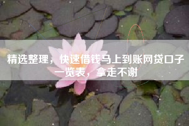 精选整理，快速借钱马上到账网贷口子一览表，拿走不谢