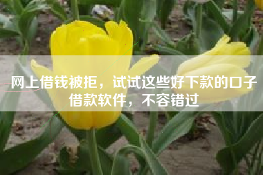 网上借钱被拒，试试这些好下款的口子借款软件，不容错过
