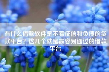 有什么借款软件是不看征信和负债的贷款平台？这几个就是最容易通过的借款平台
