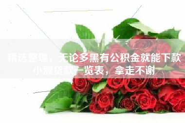 精选整理，无论多黑有公积金就能下款小额贷款一览表，拿走不谢