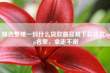 精选整理一份什么贷款最容易下款贷款app名单，拿走不谢