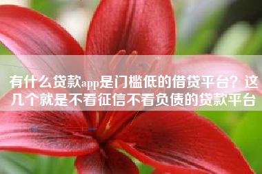 有什么贷款app是门槛低的借贷平台？这几个就是不看征信不看负债的贷款平台