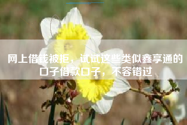 网上借钱被拒，试试这些类似鑫享通的口子借款口子，不容错过
