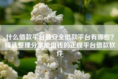 什么借款平台最安全借款平台有哪些？精选整理分享能借钱的正规平台借款软件