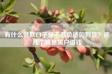 有什么借款口子是不看负债的网贷？这几个就是黑户借钱
