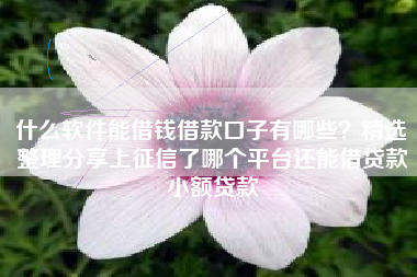 什么软件能借钱借款口子有哪些？精选整理分享上征信了哪个平台还能借贷款小额贷款