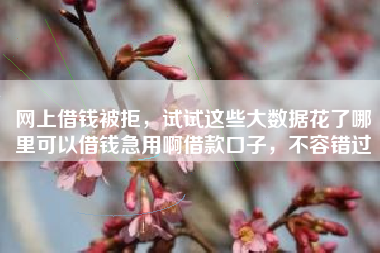 网上借钱被拒，试试这些大数据花了哪里可以借钱急用啊借款口子，不容错过