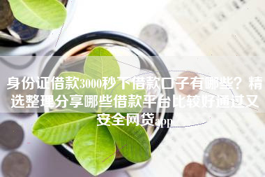 身份证借款3000秒下借款口子有哪些？精选整理分享哪些借款平台比较好通过又安全网贷app