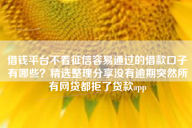 借钱平台不看征信容易通过的借款口子有哪些？精选整理分享没有逾期突然所有网贷都拒了贷款app