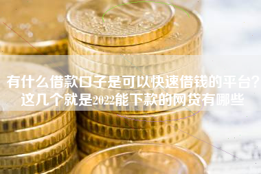 有什么借款口子是可以快速借钱的平台？这几个就是2022能下款的网贷有哪些