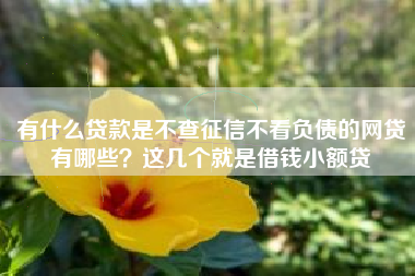 有什么贷款是不查征信不看负债的网贷有哪些？这几个就是借钱小额贷
