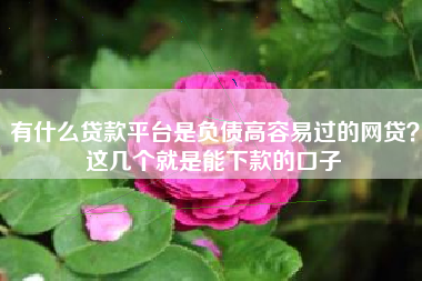 有什么贷款平台是负债高容易过的网贷？这几个就是能下款的口子