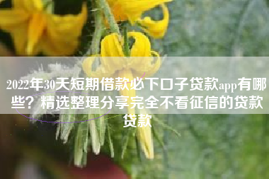 2022年30天短期借款必下口子贷款app有哪些？精选整理分享完全不看征信的贷款贷款