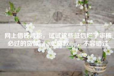 网上借钱被拒，试试这些征信烂了审核必过的贷款app2022贷款app，不容错过