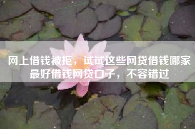 网上借钱被拒，试试这些网贷借钱哪家最好借钱网贷口子，不容错过