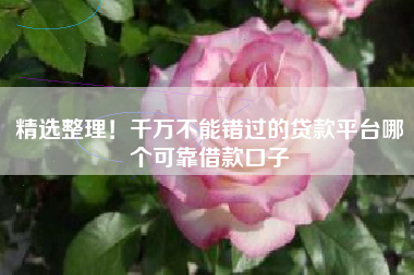 精选整理！千万不能错过的贷款平台哪个可靠借款口子