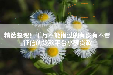 精选整理！千万不能错过的有没有不看征信的贷款平台小额贷款