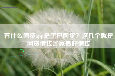 有什么网贷app是黑户网贷？这几个就是网贷借钱哪家最好借钱