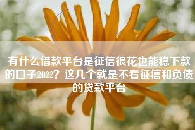 有什么借款平台是征信很花也能稳下款的口子2022？这几个就是不看征信和负债的贷款平台