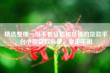精选整理一份不看征信和负债的贷款平台小额贷款名单，拿走不谢