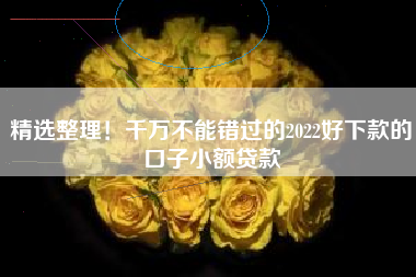 精选整理！千万不能错过的2022好下款的口子小额贷款