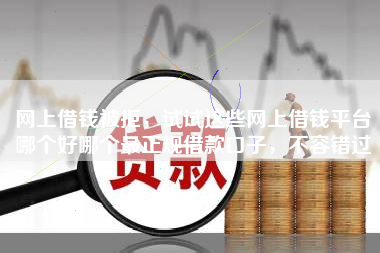 网上借钱被拒，试试这些网上借钱平台哪个好哪个最正规借款口子，不容错过