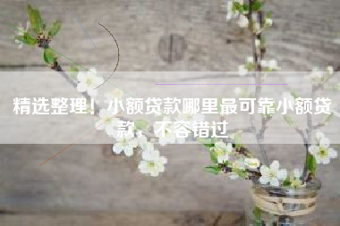 精选整理！小额贷款哪里最可靠小额贷款，不容错过
